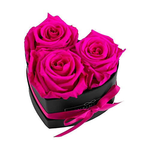 Infinity Flowerbox Small Heart Konservierte Rose, Hot Pink von Infinity Flowerbox