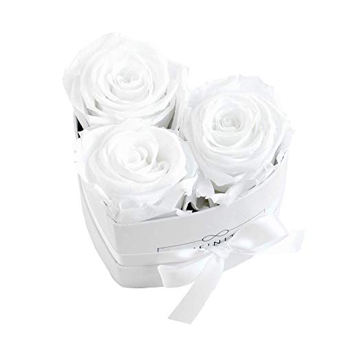 Infinity Flowerbox Small Heart Konservierte Rose, Pure White von Infinity Flowerbox