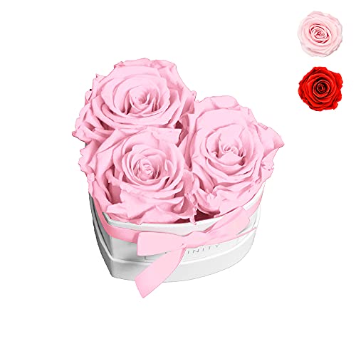 Infinity Flowerbox Small Heart Konservierte Rose, Rosa von Infinity Flowerbox