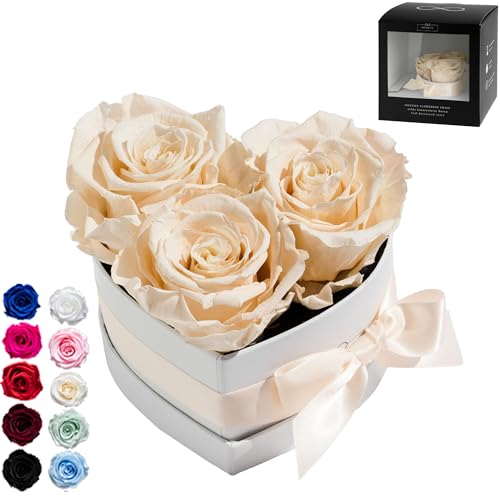 Infinity Flowerbox Small Herz - 3 echte Premiumrosen in Champagne - 3 Jahre haltbar ohne gießen | In Geschenkverpackung mit Satinschleife von Infinity Flowerbox