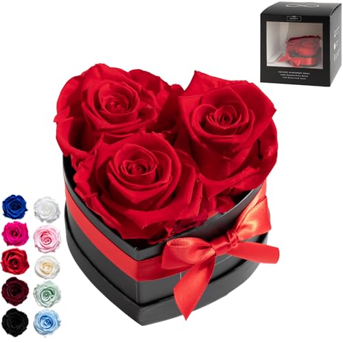 Infinity Flowerbox Small Herz - 3 echte Premiumrosen in Rot - 3 Jahre haltbar ohne gießen | In Geschenkverpackung mit Satinschleife von Infinity Flowerbox