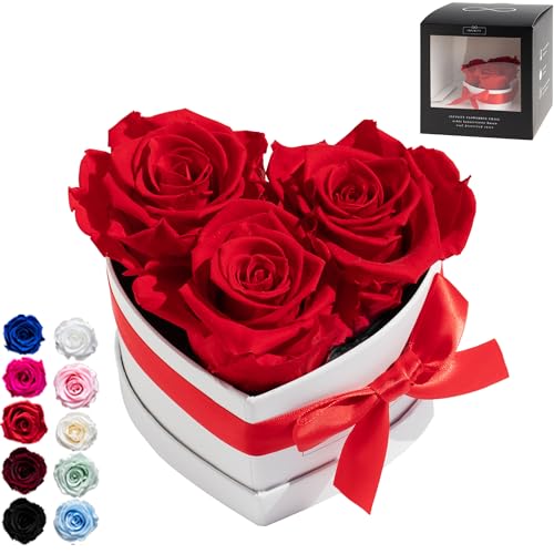 Infinity Flowerbox Small Herz - 3 echte Premiumrosen in Rot - 3 Jahre haltbar ohne gießen | In Geschenkverpackung mit Satinschleife von Infinity Flowerbox