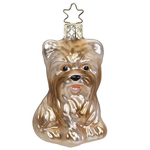 Inge-glas - Christbaumschmuck, Baumschmuck - Hund Yorkshire Terrier - Größe: 7,5 cm - Glas mundgeblasen von Inge-glas