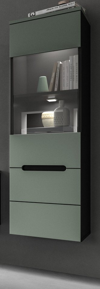 Inn.Furn Standvitrine Cooper (Vitrinenschrank in Salbei und Grau, hängend oder stehend, 36 x 125 cm) mit Soft-Close-Funktion von Inn.Furn