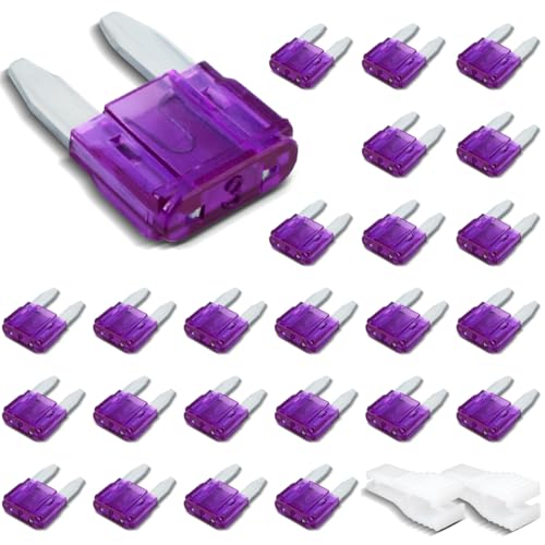Innfeeltech 25 Stück Mini-Autosicherung, Auto-Flachsicherung 3A mit 2 Plastikclips für Auto, Lkw und Motorrad Innfeeltech 25 Stück Mini-Autosicherung, Auto-Flachsicherung 3A mit 2 Plastikclips für Auto, Lkw und Motorrad von Innfeeltech