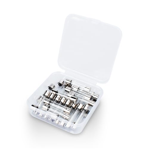 Innfeeltech 25 Stück träge Glassicherungen 6 * 30mm 250V 10A Träge Röhrensicherungen Sortimentskit von Innfeeltech