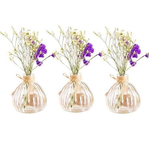 Kleine Vasen für Blumen Glas Innjoii-3Pcs/Set Pumpkin Bud Vase Klar mit Twine Rope, Vintage Hochzeit Dekor in Bulk Billig für Mittelstücke Single Flower for HomeEvents Tisch Büro, Garten Kleine Vasen für Blumen Glas Innjoii-3Pcs/Set Pumpkin Bud Vase Klar mit Twine Rope, Vintage Hochzeit Dekor in Bulk Billig für Mittelstücke Single Flower for HomeEvents Tisch Büro, Garten von Innjoii