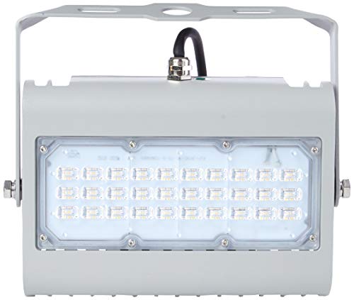 LED-Fluter Prime, 50W, gr warmweiß 830, IP65 von Rutec