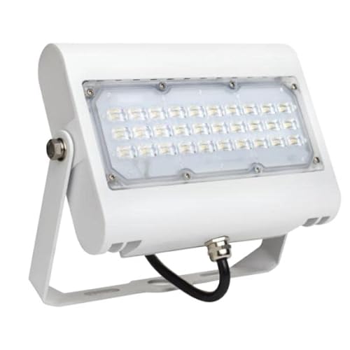 LED-Fluter Prime, 50W, ws warmweiß 830, IP65 von Rutec