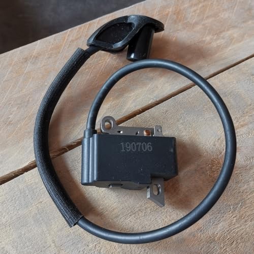 InnoYiensi Kompatibel mit/Ersatz für FS120 Ignitioin Coil FS200 FS250, neue Version nach 2016 (2903514) von InnoYiensi