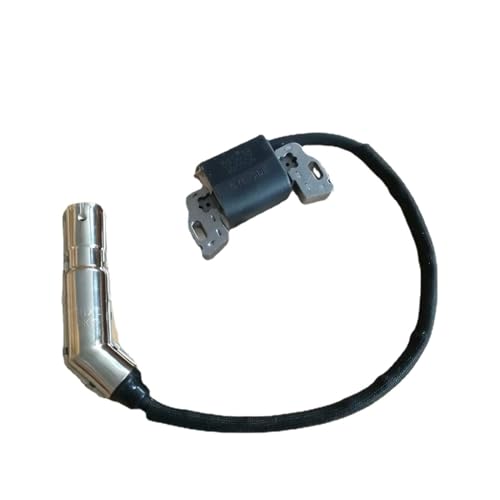 InnoYiensi Kompatibel mit/Ersatz für Zündung Bbrriiggggss & Ssttrraattttoonn 595304 799650 795315 Zündgerät Hochspannungspaket (2901108) von InnoYiensi