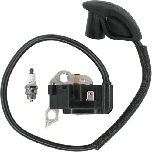 InnoYiensi Zündspule Hochspannungspaket 291424001 Rryyoobbii RY08420 RY08420A Rückgebläse (291424001) von InnoYiensi