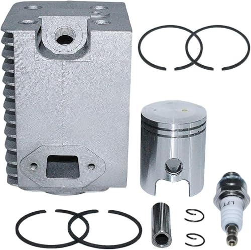 InnoYiensi Zylinderbaugruppe kompatibel mit/Ersatz für Wwiicckk BS45Y BS50-2 BS500 BS60 BS60-2 BS70 BS70-2 (WM80) von InnoYiensi