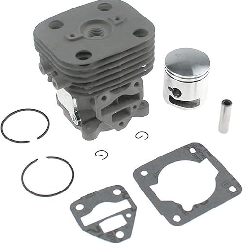 InnoYiensi Zylindermontage, kompatibel mit Rasenmäher HEZ260F BCZ260T BCZ260TS EXZ260S-PH (BCZ260) von InnoYiensi