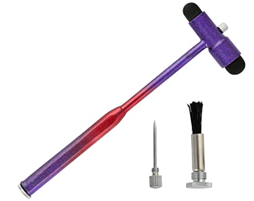 Innotech Neurologischer Reflexhammer nach Buck mit Pinsel und Nadel für Hautreflexe und Oberflächenreaktionen (Violet- Rot) von Innotech Instruments