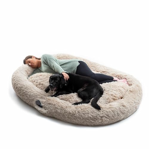 InnovaGoods Cloft Hundebett, großes Hundebett, Polyestergewebe, Anti-Stress-Hundebett, maximale Entspannung und Ruhe, Hundebett mit abnehmbarem und waschbarem Bezug. Farbe beige. InnovaGoods Cloft Hundebett, großes Hundebett, Polyestergewebe, Anti-Stress-Hundebett, maximale Entspannung und Ruhe, Hundebett mit abnehmbarem und waschbarem Bezug. Farbe beige. von InnovaGoods