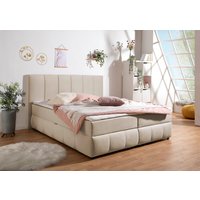 INOSIGN Boxbett "Hartley inkl. Bettkasten und Topper, auch in Überlänge erhältlich" wahlweise mit Bonnell- oder TTFK-Matratze in H2, H3 o. H4 erhältlich INOSIGN Boxbett "Hartley inkl. Bettkasten und Topper, auch in Überlänge erhältlich" wahlweise mit Bonnell- oder TTFK-Matratze in H2, H3 o. H4 erhältlich von Inosign