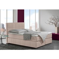 INOSIGN Boxspringbett "Casano" mit feiner Steppung, in 3 Matratzenarten, 2 Härtegraden und 5 Farben INOSIGN Boxspringbett "Casano" mit feiner Steppung, in 3 Matratzenarten, 2 Härtegraden und 5 Farben von Inosign