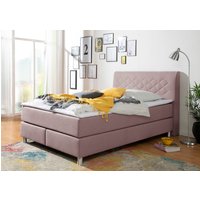 INOSIGN Boxspringbett "Parla", incl. Topper, 4 Farben in 4 Breiten, 2 Härtegraden, 3 Matratzenarten von Inosign