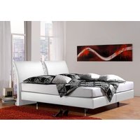 INOSIGN Boxspringbett "Polo", in 3 Matratzenarten, 3 Breiten und 4 Farben von Inosign