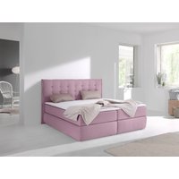 INOSIGN Boxspringbett "Sagres", Kopfteil mit 2farbiger Flatterbiese und zweifarbigen Knöpfen INOSIGN Boxspringbett "Sagres", Kopfteil mit 2farbiger Flatterbiese und zweifarbigen Knöpfen von Inosign