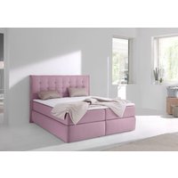 INOSIGN Boxspringbett "Sagres", Kopfteil mit 2farbiger Flatterbiese und zweifarbigen Knöpfen INOSIGN Boxspringbett "Sagres", Kopfteil mit 2farbiger Flatterbiese und zweifarbigen Knöpfen von Inosign