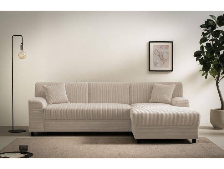 DOMO collection Ecksofa Turah 2, L-Form, Cord oder Luxus-Microfaser, komfortabler Federkern, B/T/H: 241/146/79 cm, incl. Zierkissen, mit Bettfunktion DOMO collection Ecksofa Turah 2, L-Form, Cord oder Luxus-Microfaser, komfortabler Federkern, B/T/H: 241/146/79 cm, incl. Zierkissen, mit Bettfunktion von Domo-collection