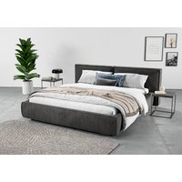 INOSIGN Polsterbett "Adrina mit Biesenoptik, Feincord und Luxus-Microfaser", bis 280kg, auch in Überlänge 220 cm, 4 Breiten bis 200cm von Inosign