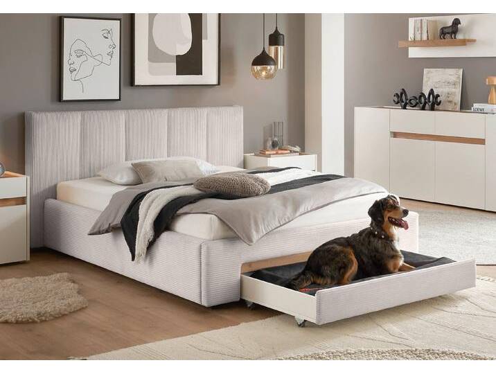 INOSIGN Polsterbett CiTY/GiRON, Bettgestell mit Bettkasten, gepolstertes Stauraumbett, mit Hundebett oder Stauraumschublade, Bezug Cord-oder Leinenoptik, beige von Inosign