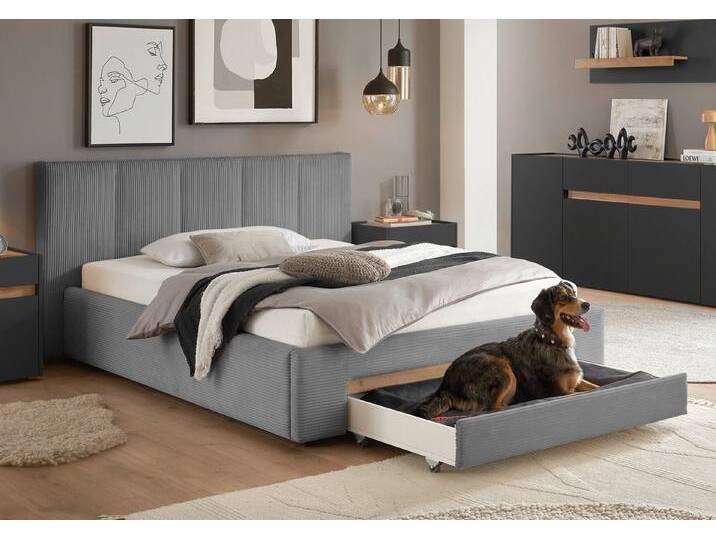 INOSIGN Polsterbett CiTY/GiRON, Bettgestell mit Bettkasten, gepolstertes Stauraumbett, mit Hundebett oder Stauraumschublade, Bezug Cord-oder Leinenoptik, grau von Inosign