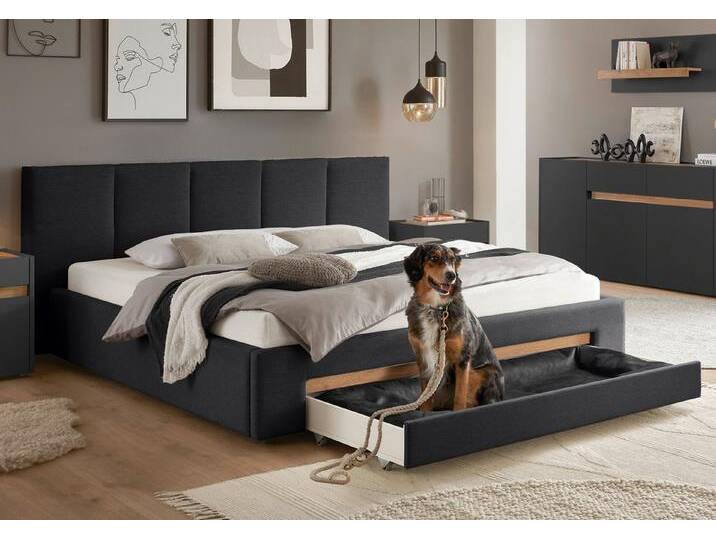 INOSIGN Polsterbett CiTY/GiRON, Bettgestell mit Bettkasten, gepolstertes Stauraumbett, mit Hundebett oder Stauraumschublade, Bezug Cord-oder Leinenoptik, grau von Inosign