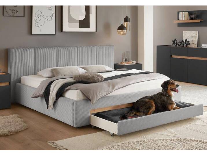 INOSIGN Polsterbett CiTY/GiRON, Bettgestell mit Bettkasten, gepolstertes Stauraumbett, mit Hundebett oder Stauraumschublade, Bezug Cord-oder Leinenoptik, grau von Inosign