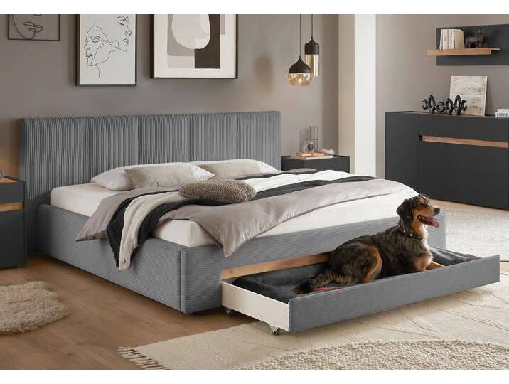 INOSIGN Polsterbett CiTY/GiRON, Bettgestell mit Bettkasten, gepolstertes Stauraumbett, mit Hundebett oder Stauraumschublade, Bezug Cord-oder Leinenoptik, grau von Inosign