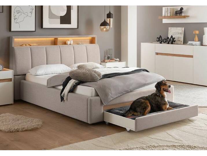 INOSIGN Polsterbett CiTY/GiRON, gepolstertes Stauraumbett, mit LED Beleuchtung, Bettkasten mit Hundebett oder als Stauraum, klappbare Kopfteile, beige von Inosign