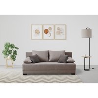 INOSIGN Schlafsofa "Sierra, 198 cm, mit Bettfunktion (150/198 cm) und Bettkasten," von Inosign