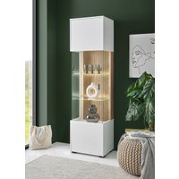 INOSIGN Vitrine "Hudson", in moderner Trendfarbe, Griffe aus Metall (Schwarz), Höhe 180 cm von Inosign