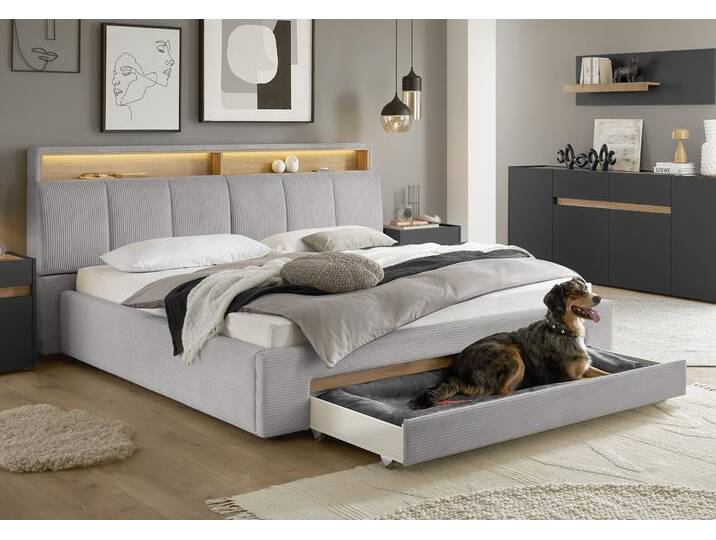 Polsterbett INOSIGN CiTY/GiRON,, gepolstertes Stauraumbett, mit LED Beleuchtung , grau (hellgrau), B:210cm H:110cm L:235cm, Betten, Bettkasten mit Hundebett oder als Stauraum, klappbare Kopfteile von Inosign