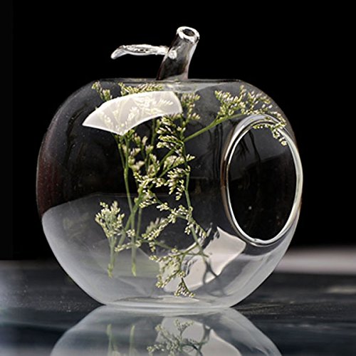 Inovey Apple Form Blume Glasvase Moos Micro Landschaft Eco Flasche von Inovey