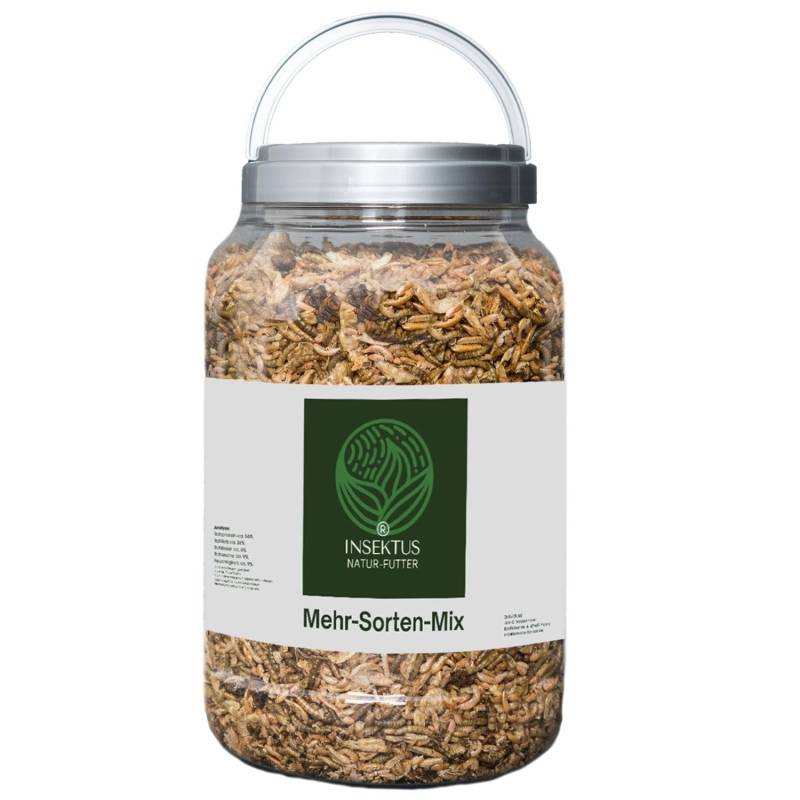 Insektus Mehr Sorten Mix Koifutter 5 Liter von Insektus