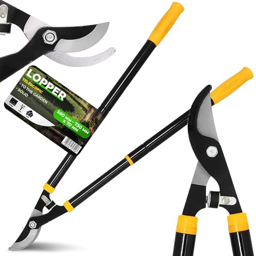 Instalguru Teleskop Astschere Gartenschere 56-73 cm Heckenschere Baumschere Ast Schere Rosenschere Rebschere Blumenschere Getriebeastschere Astschneider Teleskopgriffen Instalguru Teleskop Astschere Gartenschere 56-73 cm Heckenschere Baumschere Ast Schere Rosenschere Rebschere Blumenschere Getriebeastschere Astschneider Teleskopgriffen von Instalguru