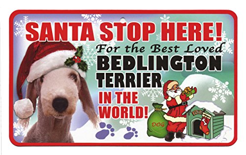 Santa Stop Here für The Best Loved Hund Schild in der Welt – Christmas BEDLINGTON TERRIER von Instant Gifts Pet Santa Signs