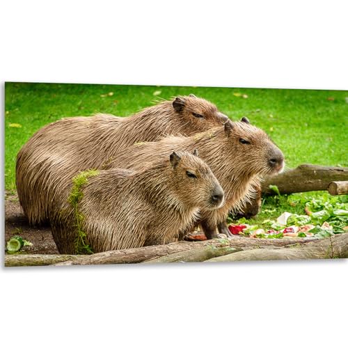 Instarry 5D DIY Diamant Painting Bilder Groß Capybaras und Grasland Home Decoration 100x50 cm von Instarry