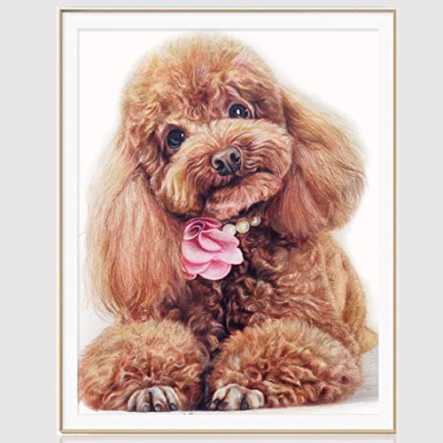Instarry 5D Diamant Painting Bilder Groß Pudel Wanddekoration 47x40 cm Instarry 5D Diamant Painting Bilder Groß Pudel Wanddekoration 47x40 cm von Instarry