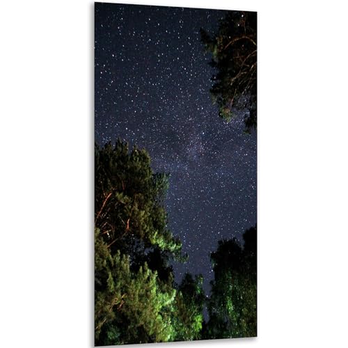 Instarry 5D Diamant Painting Zubehör Full Groß Sternenwald Schlafzimmer Wohnzimmer Deko 100x50 cm Instarry 5D Diamant Painting Zubehör Full Groß Sternenwald Schlafzimmer Wohnzimmer Deko 100x50 cm von Instarry