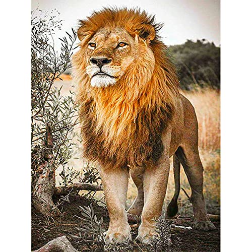 Instarry 5D Diamond Painting Full Groß Löwe Wohnzimmer Deko 60x40 cm Instarry 5D Diamond Painting Full Groß Löwe Wohnzimmer Deko 60x40 cm von Instarry