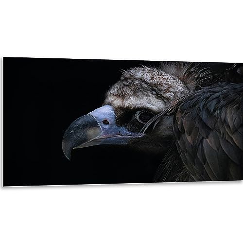 Instarry 5D Diamond Painting Full Groß Süßer Geier Wall Decor 100x50 cm Instarry 5D Diamond Painting Full Groß Süßer Geier Wall Decor 100x50 cm von Instarry