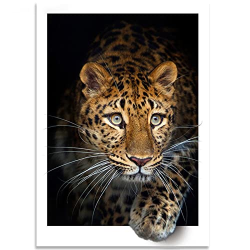 Instarry DIY 5D Diamond Painting Zubehör Groß Gepard Dekoration Wohnung Modern 60x40 cm von Instarry