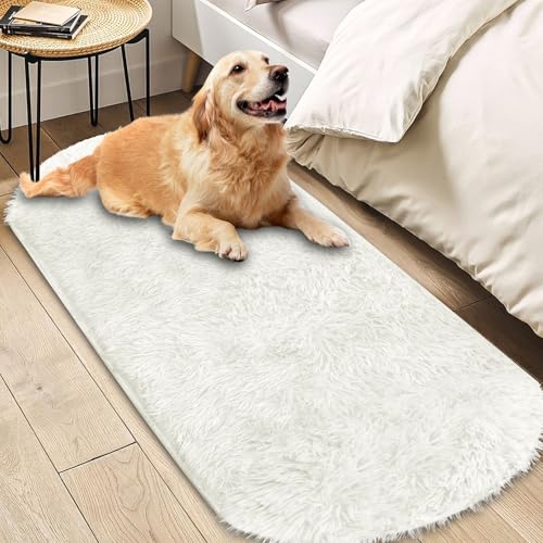Insun Teppich Oval Wohnzimmer Hochflor Flauschig Waschbar Shaggy rutschfest Teppiche Schlafzimmer Creme 100 x 160 cm Insun Teppich Oval Wohnzimmer Hochflor Flauschig Waschbar Shaggy rutschfest Teppiche Schlafzimmer Creme 100 x 160 cm von Insun