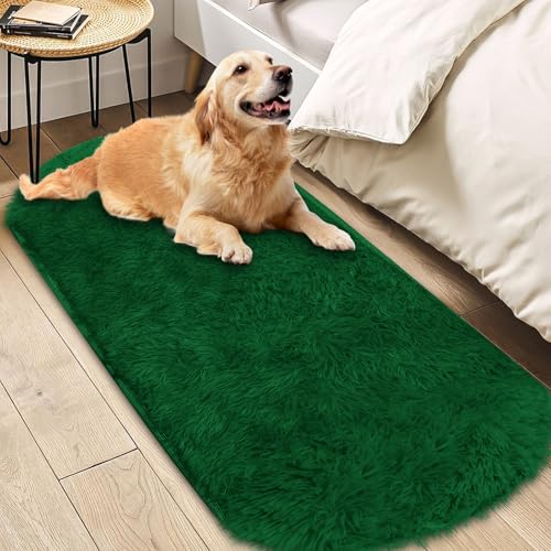 Insun Teppich Oval Wohnzimmer Hochflor Flauschig Waschbar Shaggy rutschfest Teppiche Schlafzimmer Dunkelgrün 80 x 160 cm Insun Teppich Oval Wohnzimmer Hochflor Flauschig Waschbar Shaggy rutschfest Teppiche Schlafzimmer Dunkelgrün 80 x 160 cm von Insun