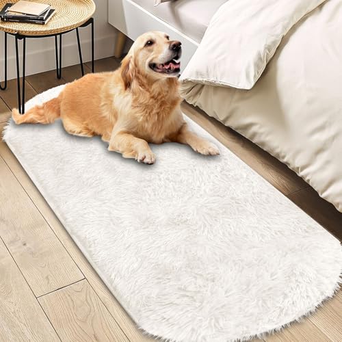 Insun Teppich Oval Wohnzimmer Hochflor Flauschig Waschbar Shaggy rutschfest Teppiche Schlafzimmer Elfenbein 100 x 160 cm Insun Teppich Oval Wohnzimmer Hochflor Flauschig Waschbar Shaggy rutschfest Teppiche Schlafzimmer Elfenbein 100 x 160 cm von Insun